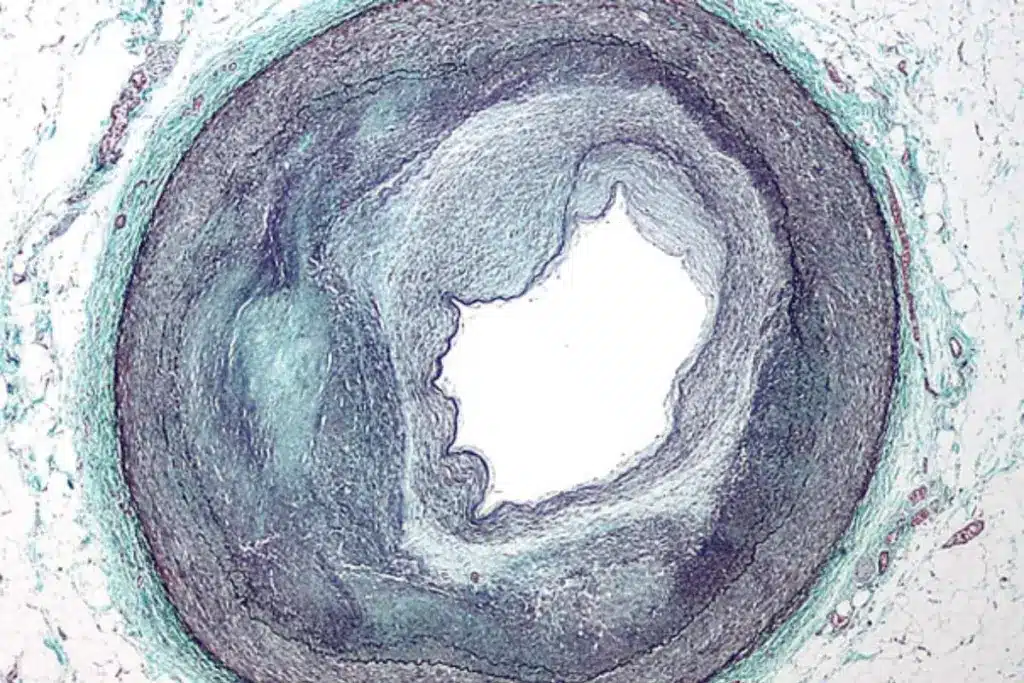 image 2 2380 LIV Hospital