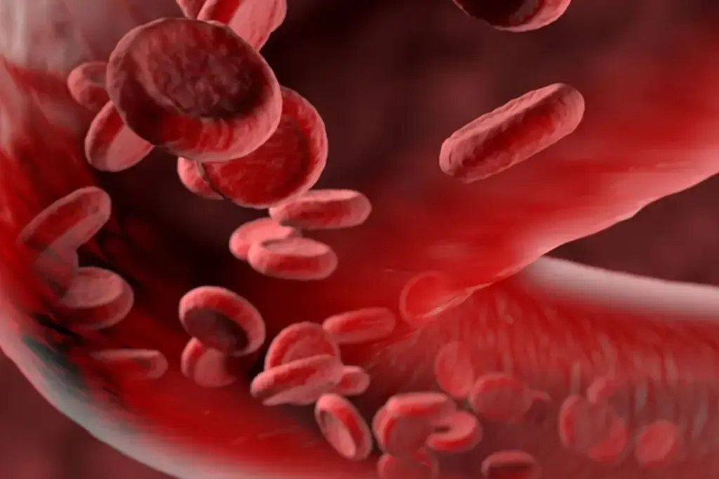 Is Plavix A Blood Thinner? Vital Facts