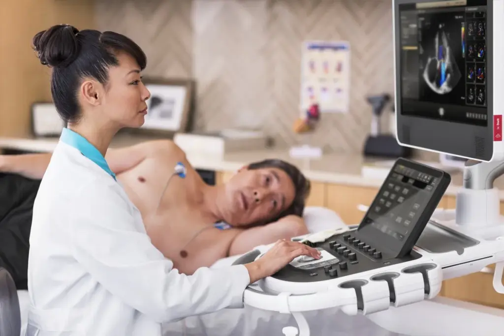 Ultrasound Of Heart: Best Safe Time Facts