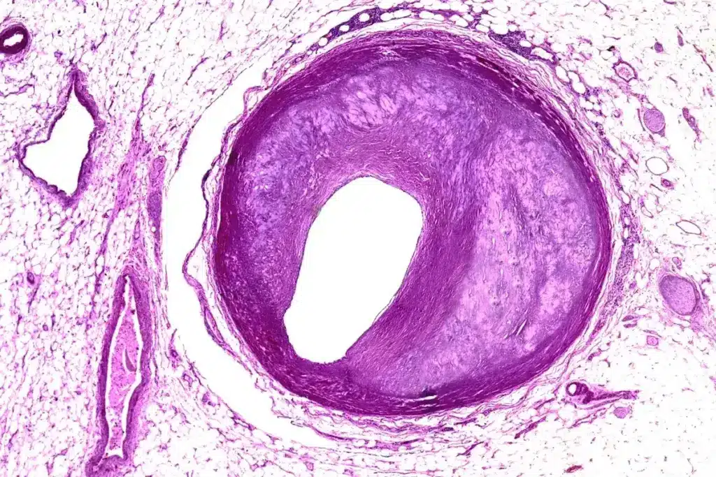 image 3 2204 LIV Hospital