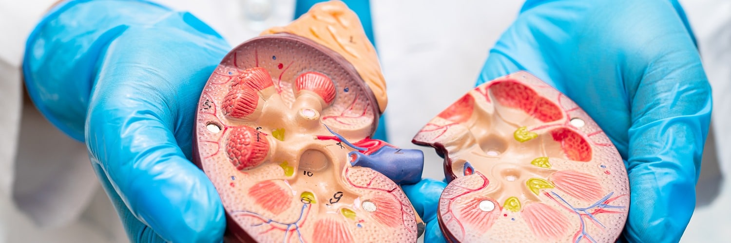 Amyloidosis and the Kidney