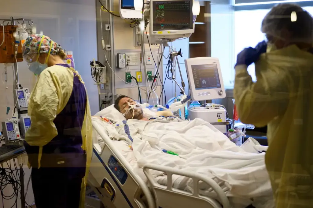 Valuable Which Type Of Stent Is Best (Best Stent Type)?