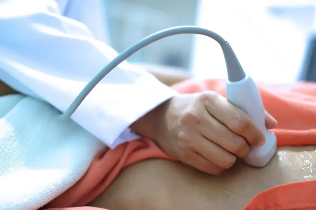 Can You Eat Before an Echo: Drive Tips