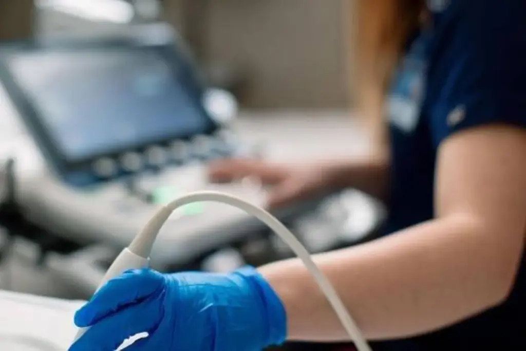 What Does an Echocardiogram Show: Issues