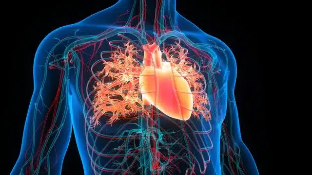 Cardiac MRI: Top Safety & Side Effects