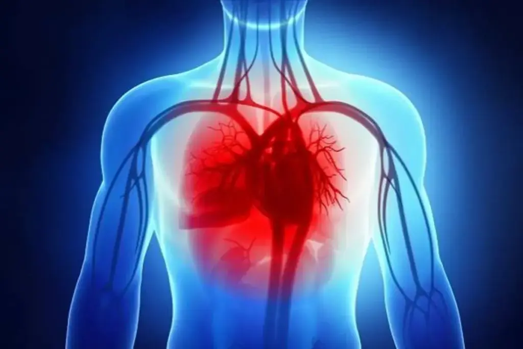 Can Heart Failure Be Reversed: 5 Facts 3 Can Heart Failure Be Reversed: 5 Facts