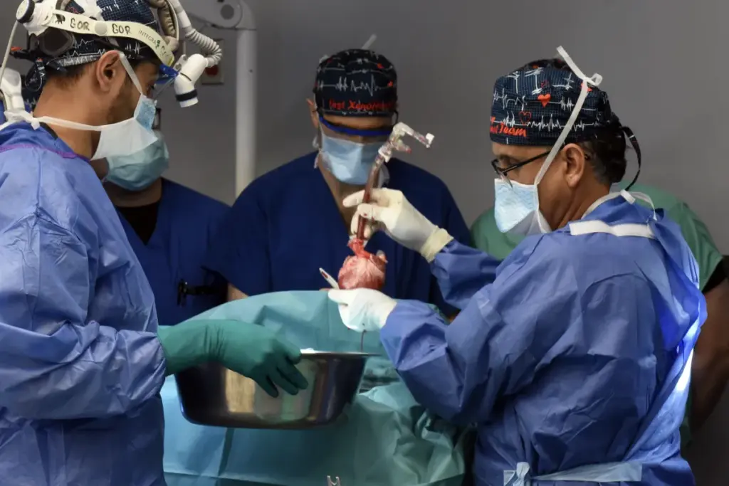 Open Heart Surgery Recovery: Home Essentials