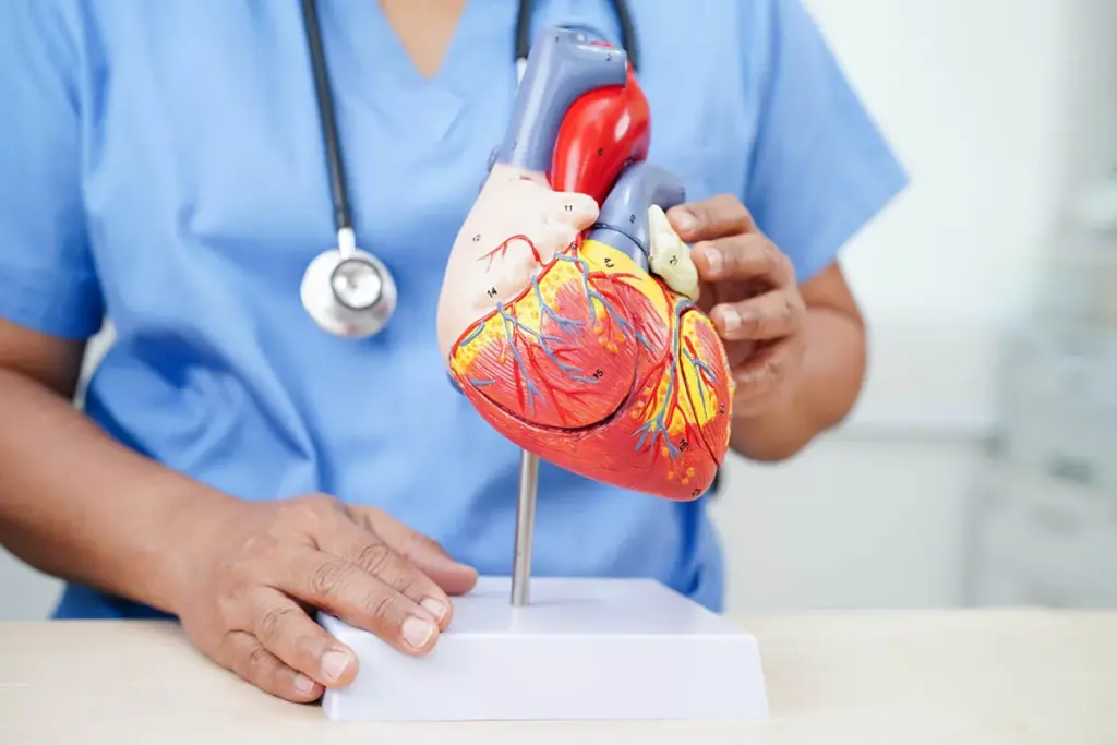 image 2 1289 LIV Hospital