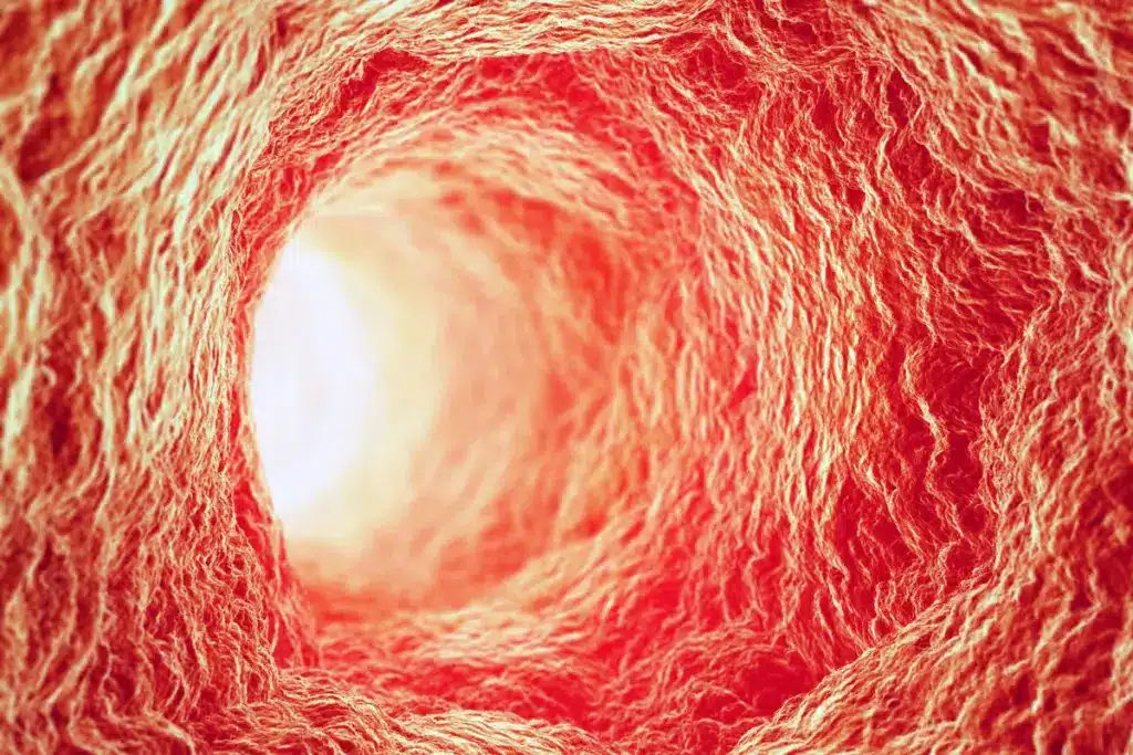 Blood Circulation Assessment Signs: Easy Check