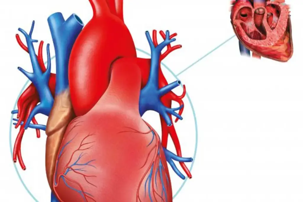 Amazing Arrhythmia Non-Surgical Treatment Options