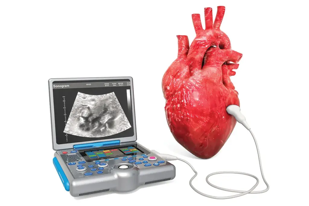 Key Initial Valvular Dysfunction Indicators (First Sign) 2 Key Initial Valvular Dysfunction Indicators (First Sign)