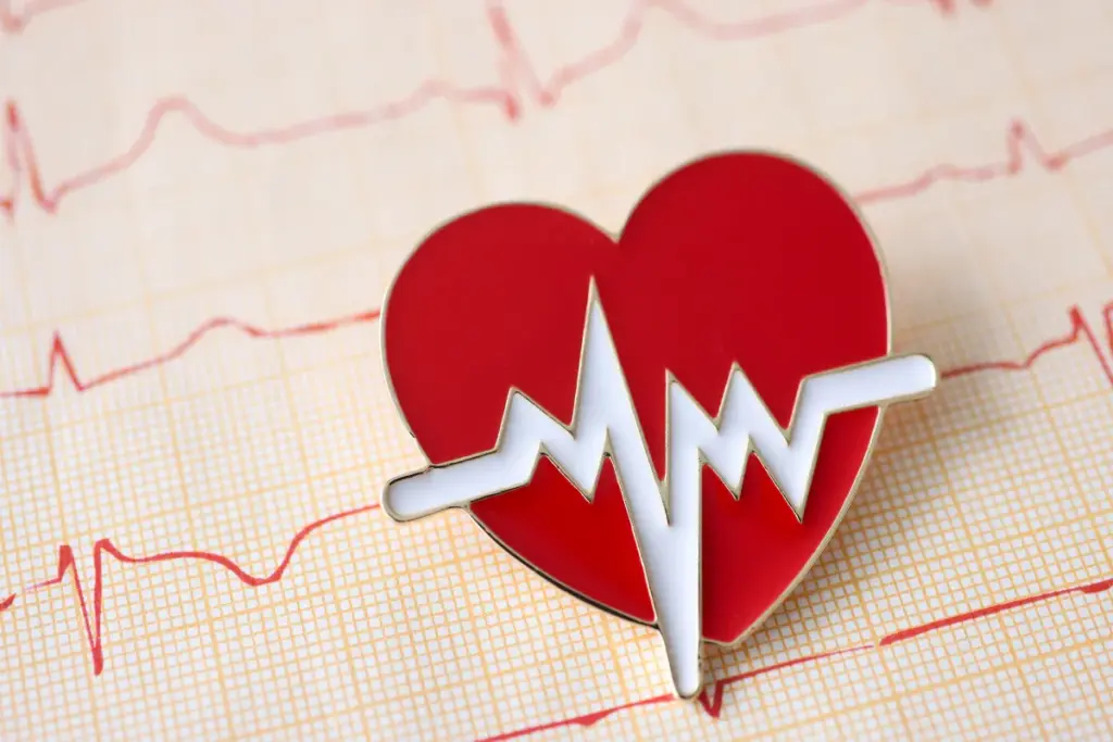 image 2 1077 LIV Hospital