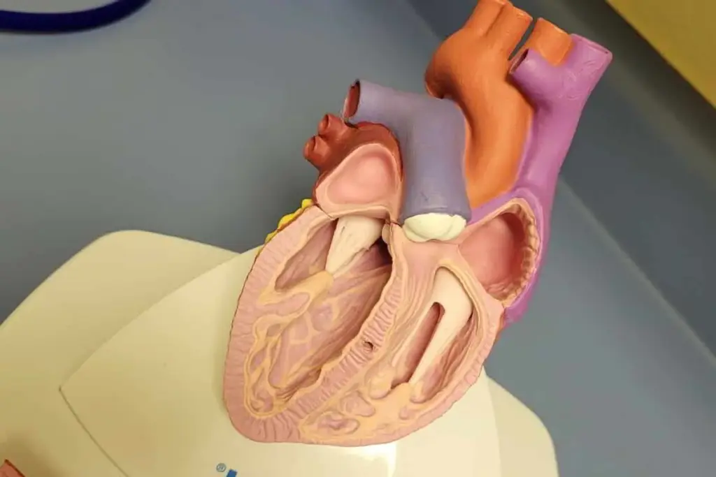 Warning Coughing Aneurysm Rupture Risk