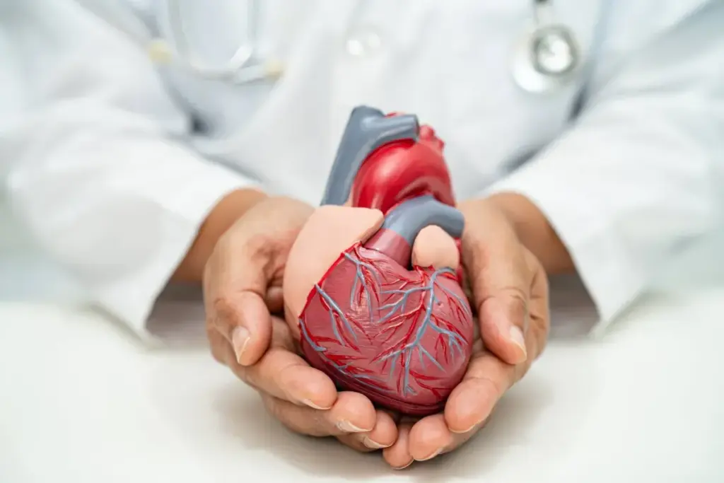Crucial Valvular Tissue Damage Causes Revealed