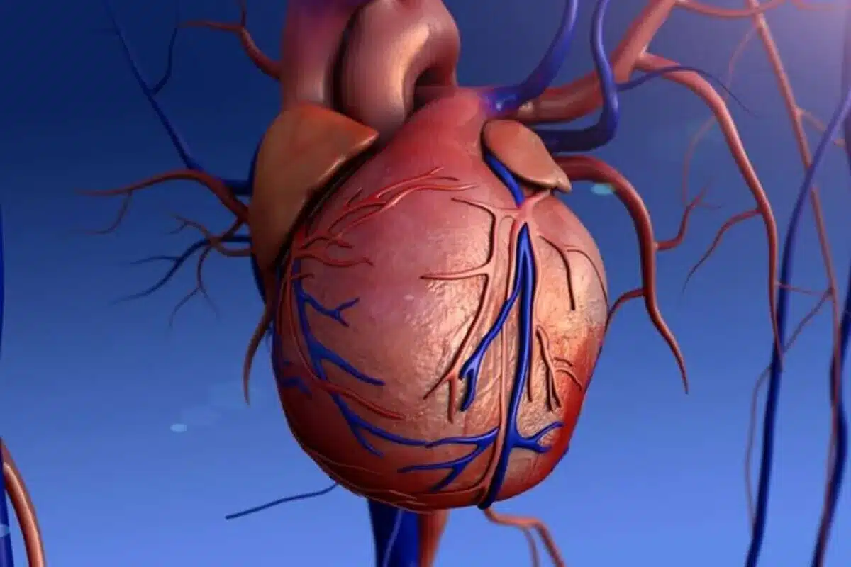 Key Atrial Fibrillation Versus Arrhythmia Difference