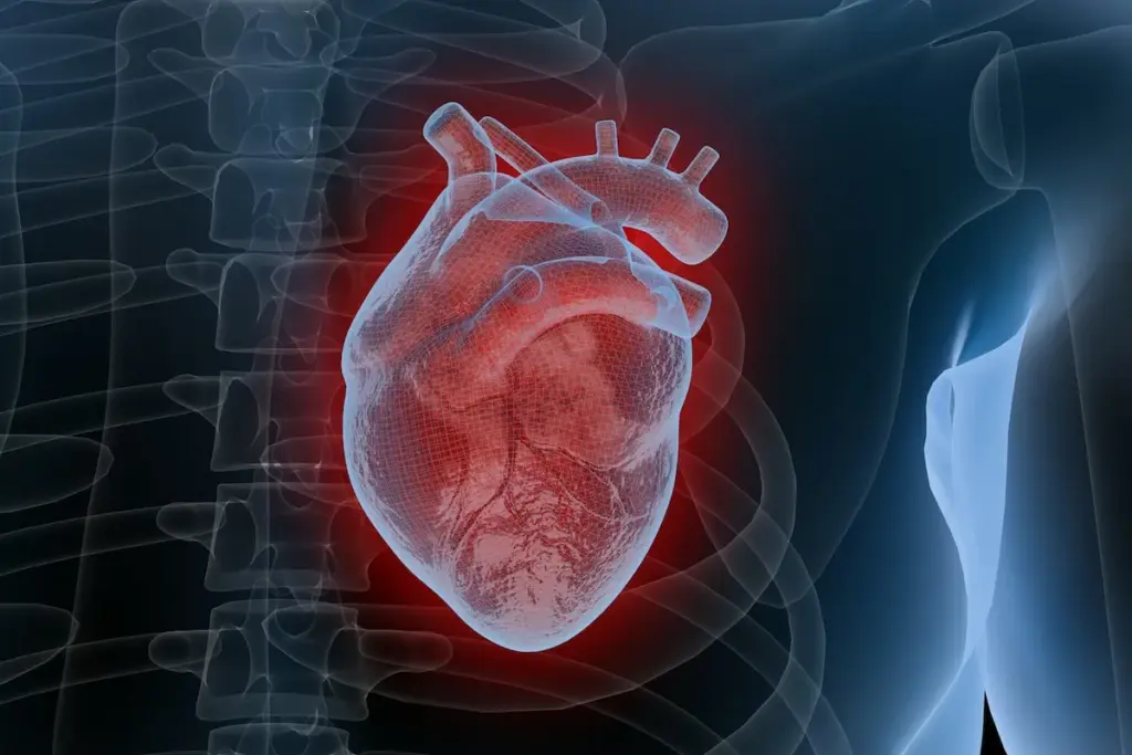 image 3 962 LIV Hospital