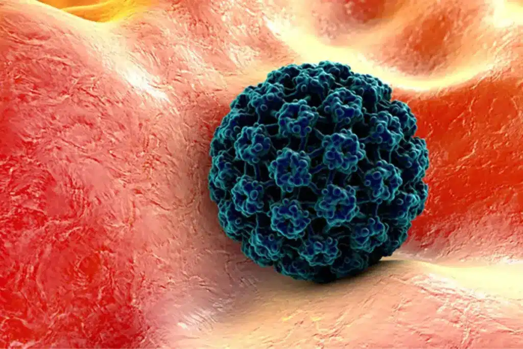 image 2 862 LIV Hospital