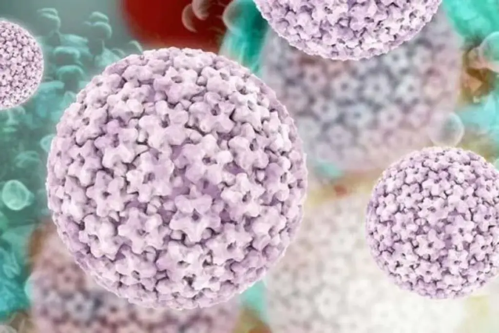 Crucial Are All Warts Caused By Hpv (Genital Warts)?