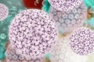 Crucial Are All Warts Caused By Hpv (Genital Warts)?