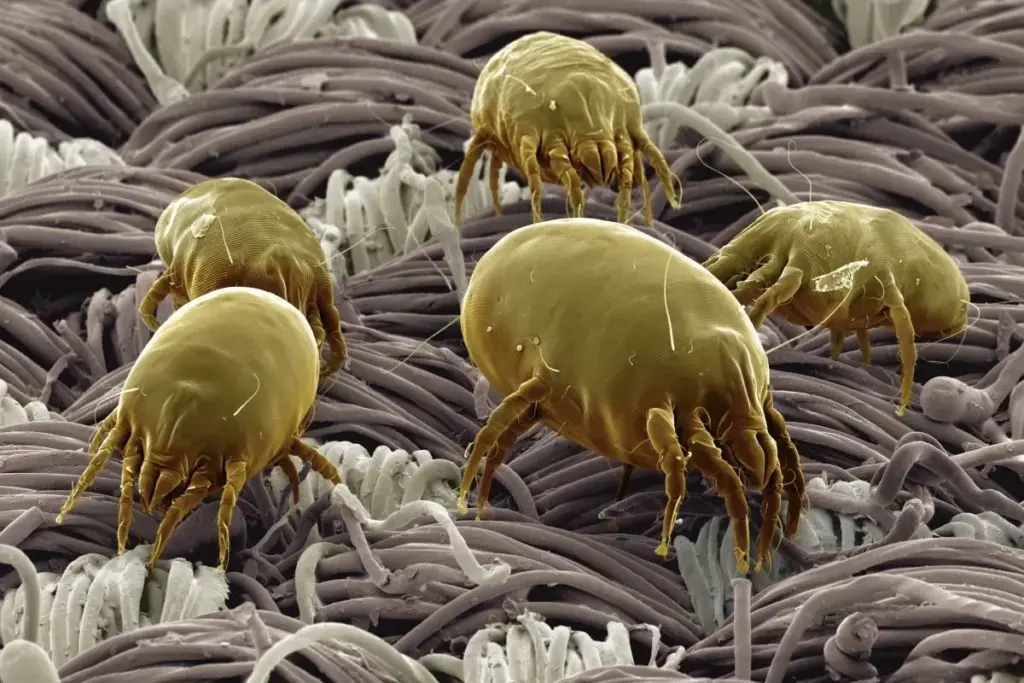 image 2 824 LIV Hospital