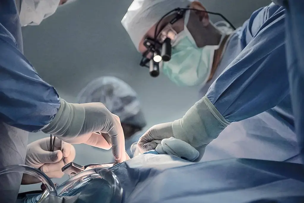 Angiogram Recovery: Bed Rest After Angioplasty