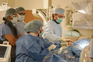 Cardiac Surgery Outcomes: Crucial Factors for Success