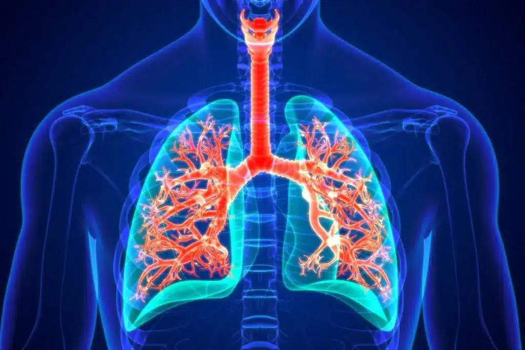 Thoracic Surgeon Consultation Questions: Crucial List