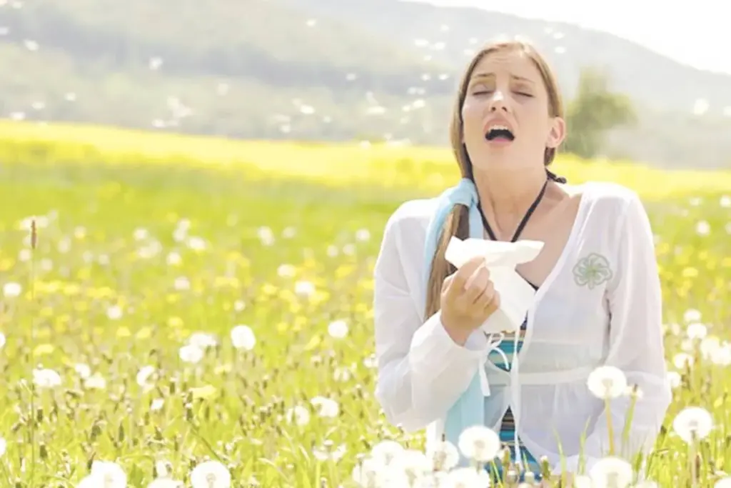 Insightful What To Drink For Allergies: Drink Allergy Relief