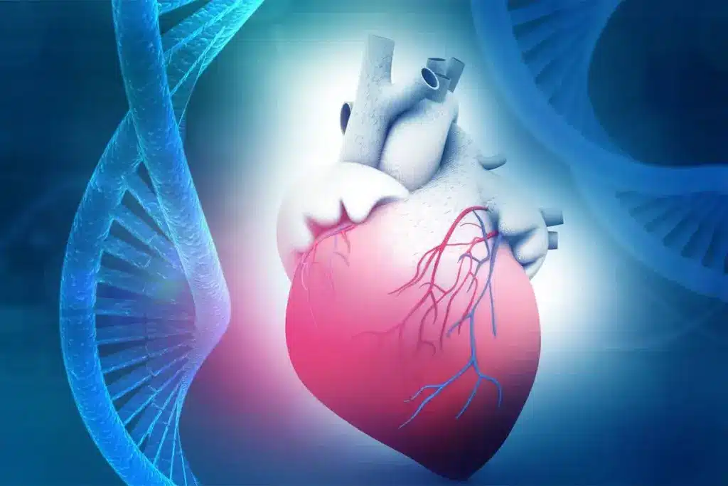 Risk For Congenital Heart Disease: Crucial Factors & Causes 2 image 2 139 LIV Hospital