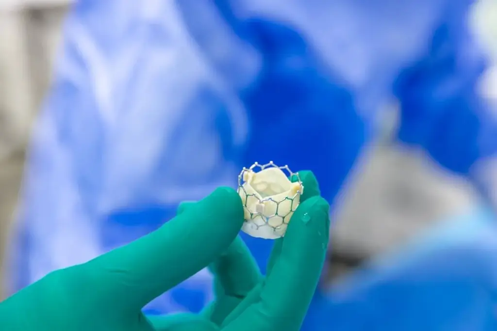 What Is Transcatheter Aortic Valve: The Crucial Device Fact 1 What Is Transcatheter Aortic Valve: The Crucial Device Fact