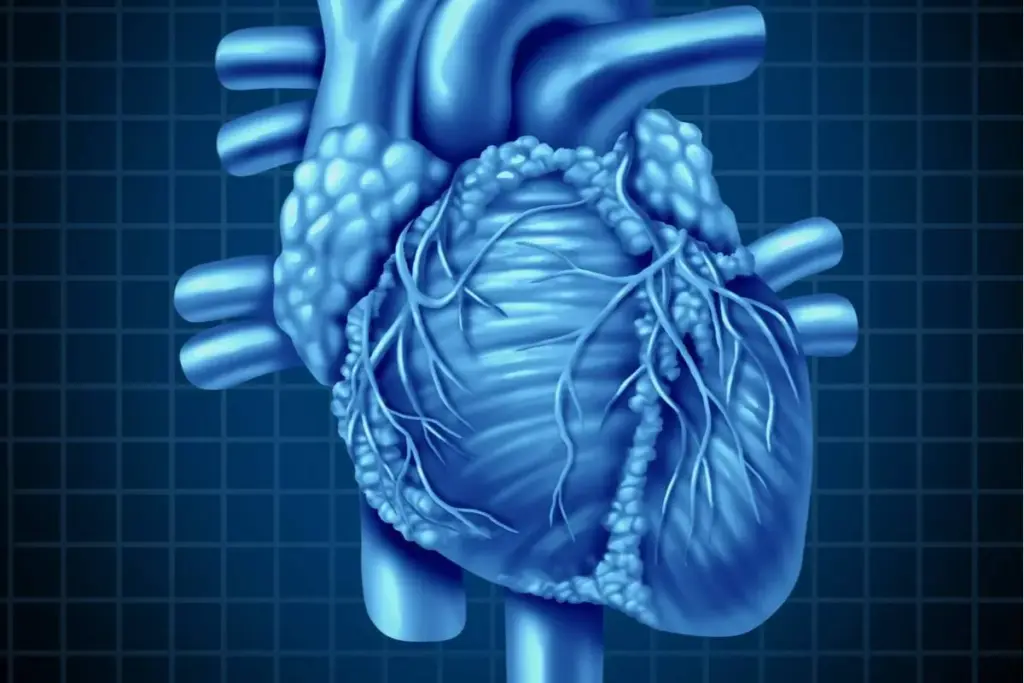 Leaky Mitral Valve Risk: Can It Truly Cause Death? Serious Fact