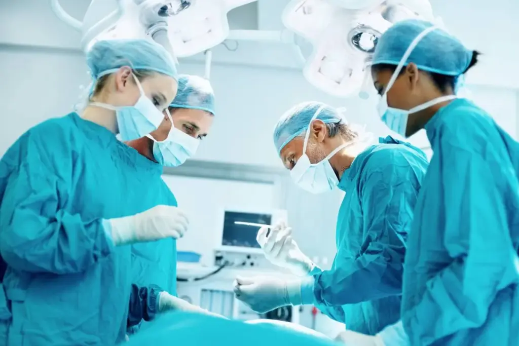 Mitral Valve Causes: The Crucial Factors for Valve Problems