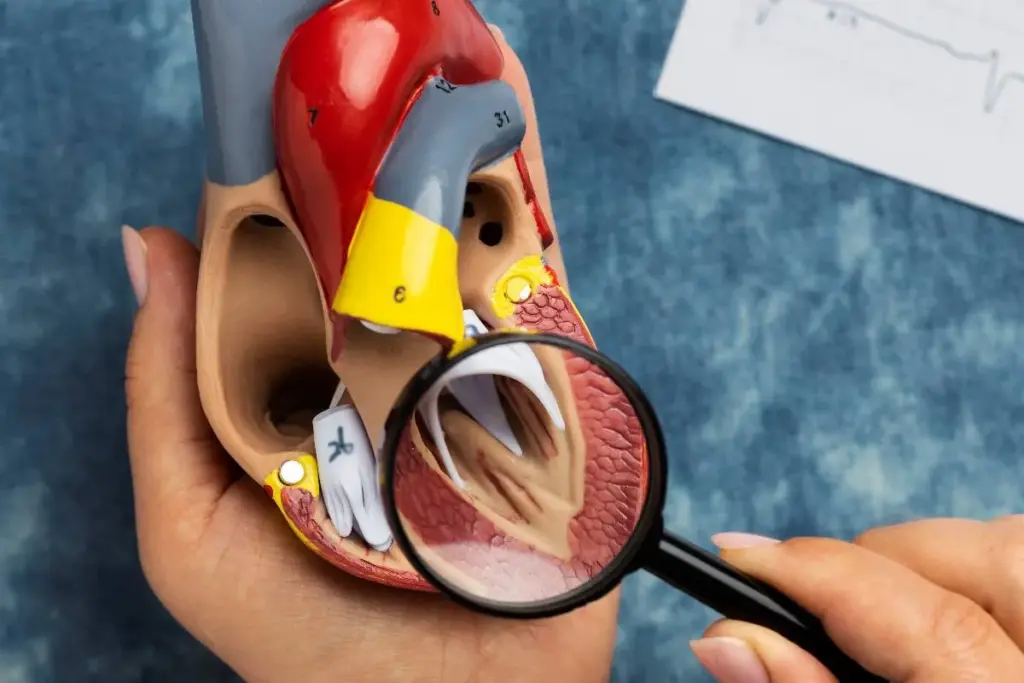 Mitral Valve Fix: Do They Truly Cut the Heart Open? Crucial Fact