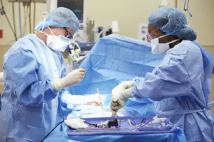 Heart Anatomy: The Crucial Number of Arteries Inside