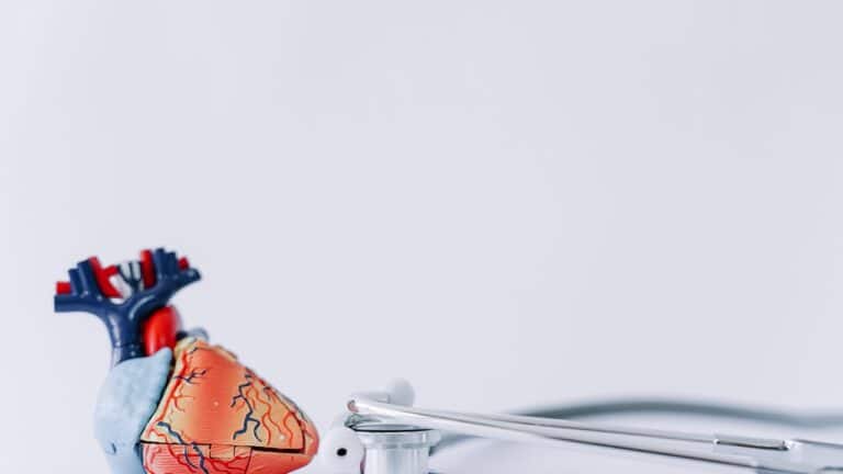 stethoscope realistic heart yt thumbnail 1280 720 1 LIV Hospital