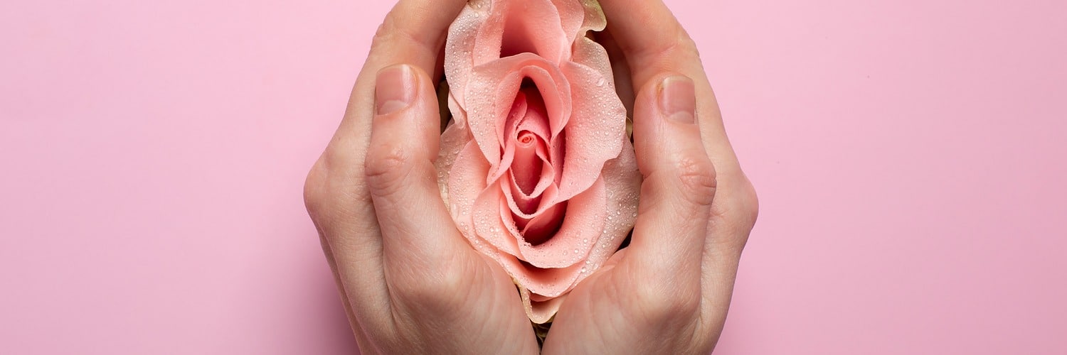 woman holding rose hands reproductive system visualization x banner 1500 500 LIV Hospital