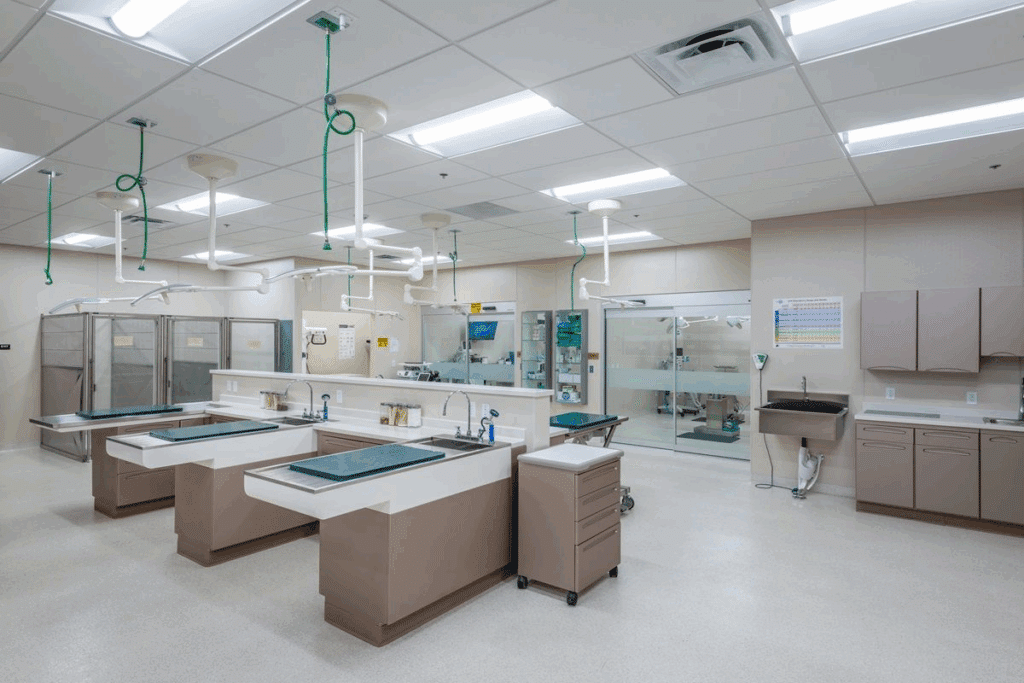 Endocrinology Referral: Top Medical Reasons 2 Endocrinology Referral: Top Medical Reasons