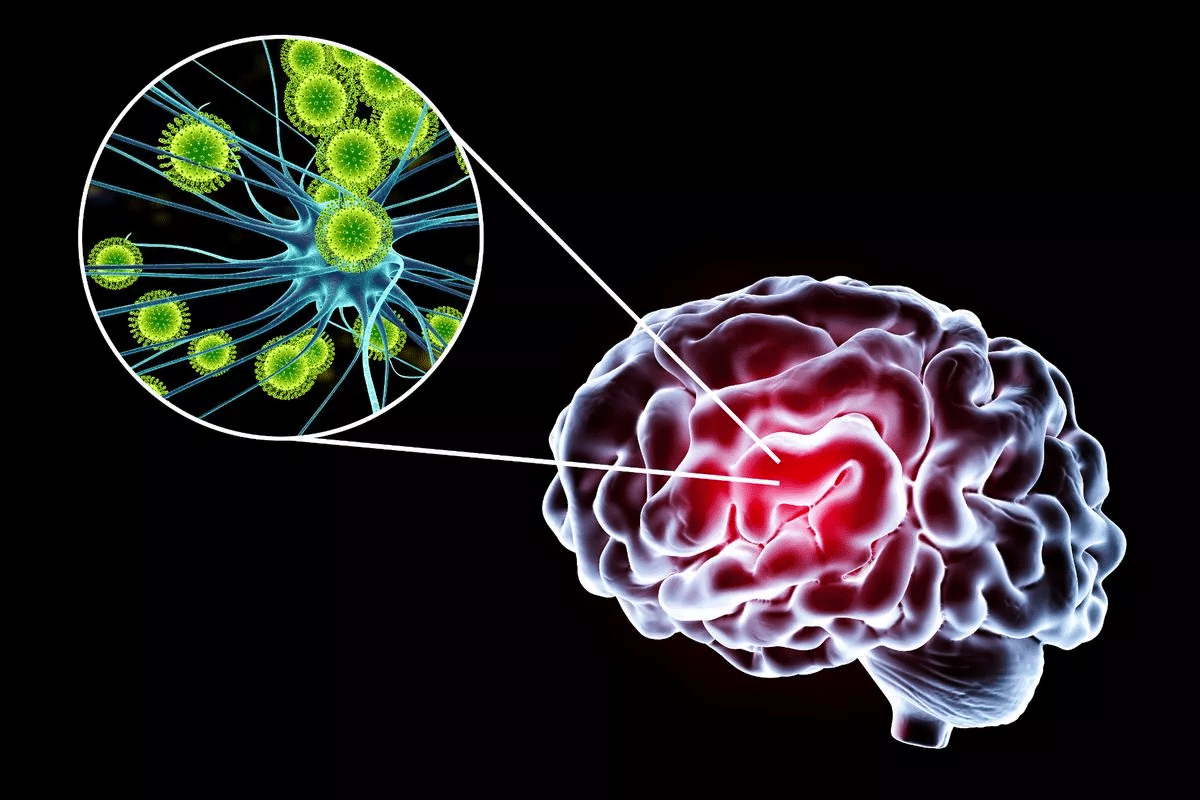 word image 261749 3 1 LIV Hospital