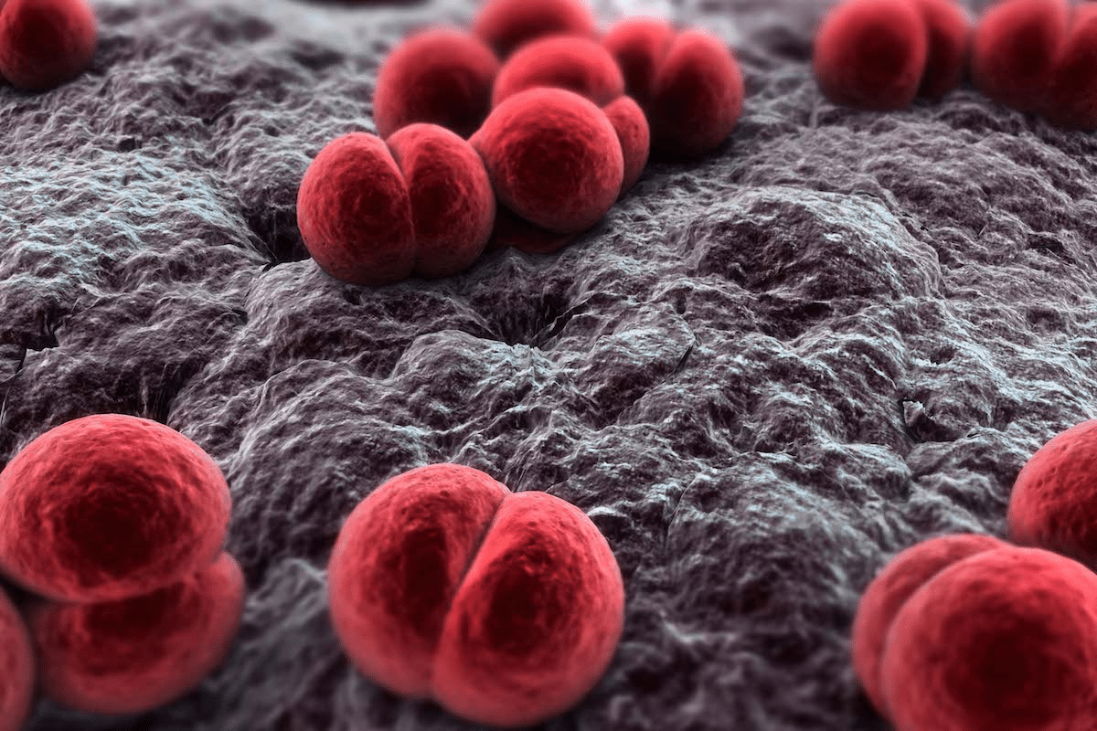 word image 261747 2 LIV Hospital