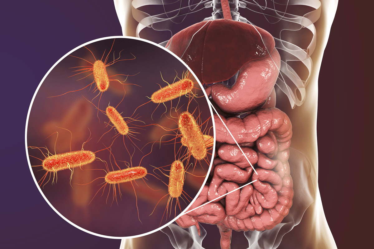 word image 261754 3 LIV Hospital