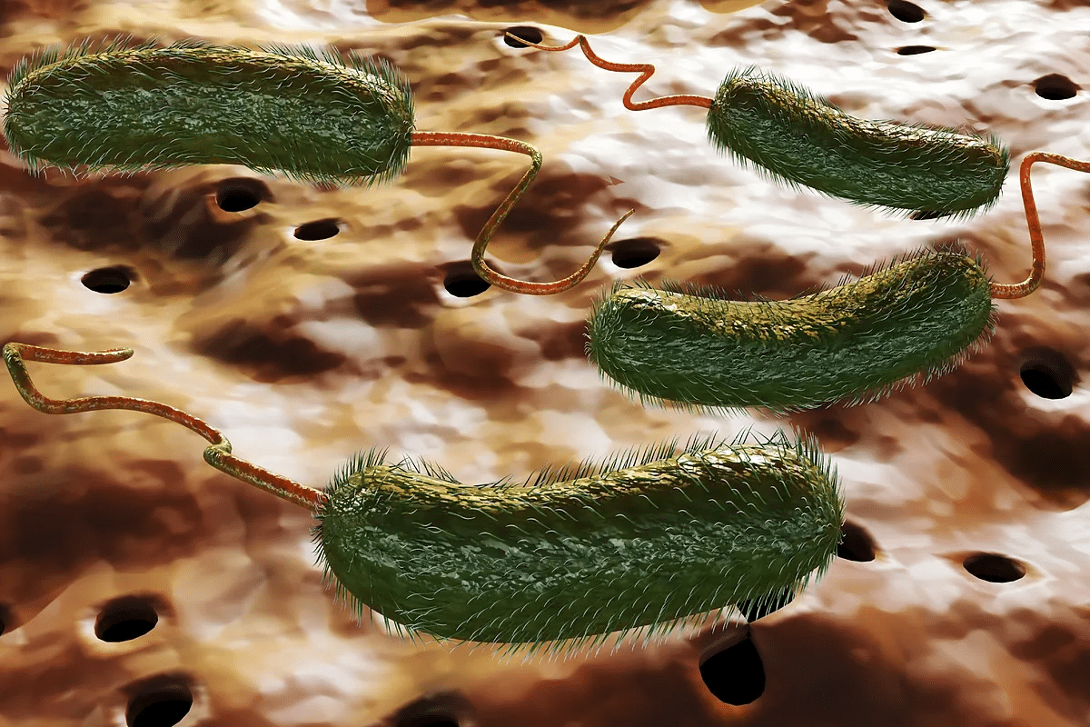 word image 260684 2 LIV Hospital