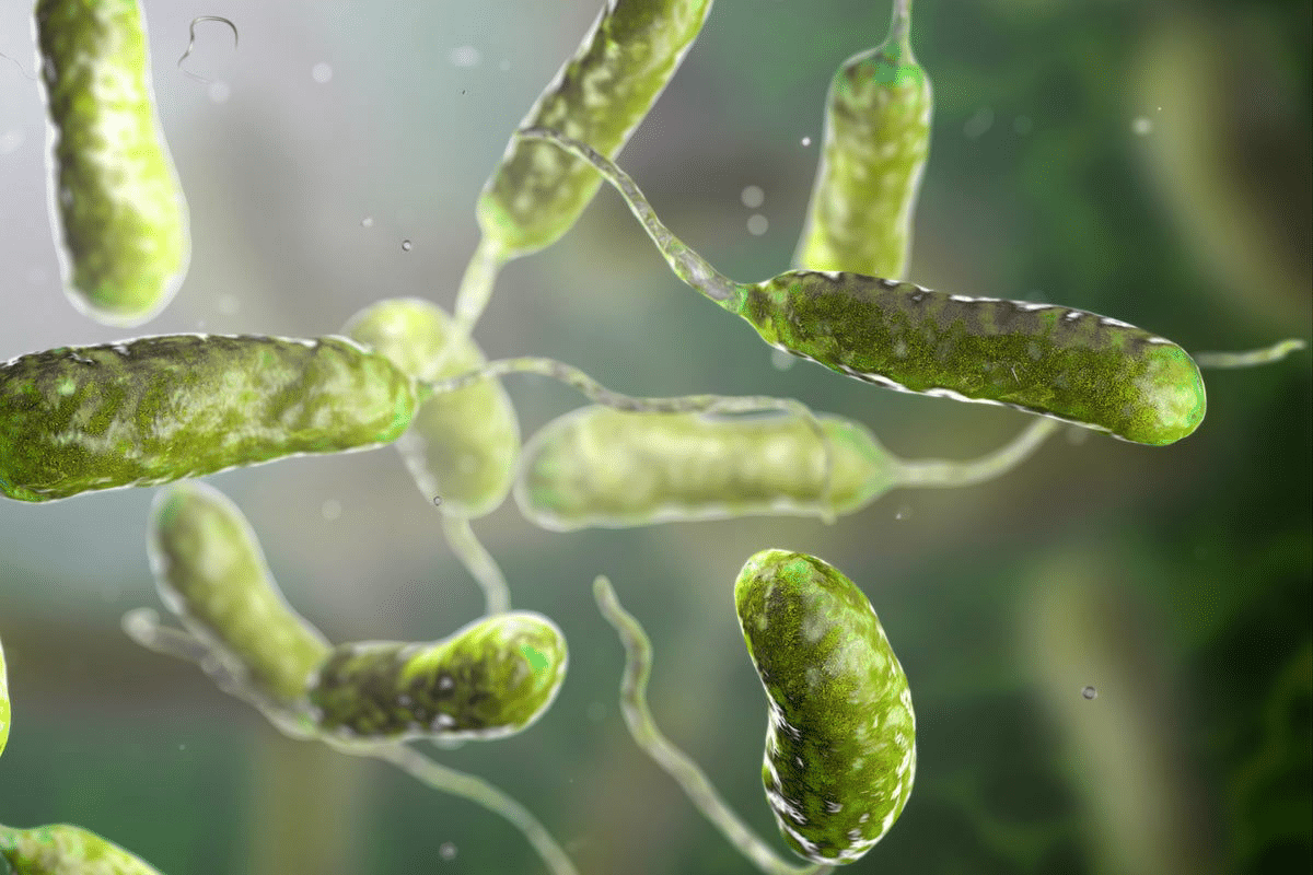 word image 260682 3 LIV Hospital