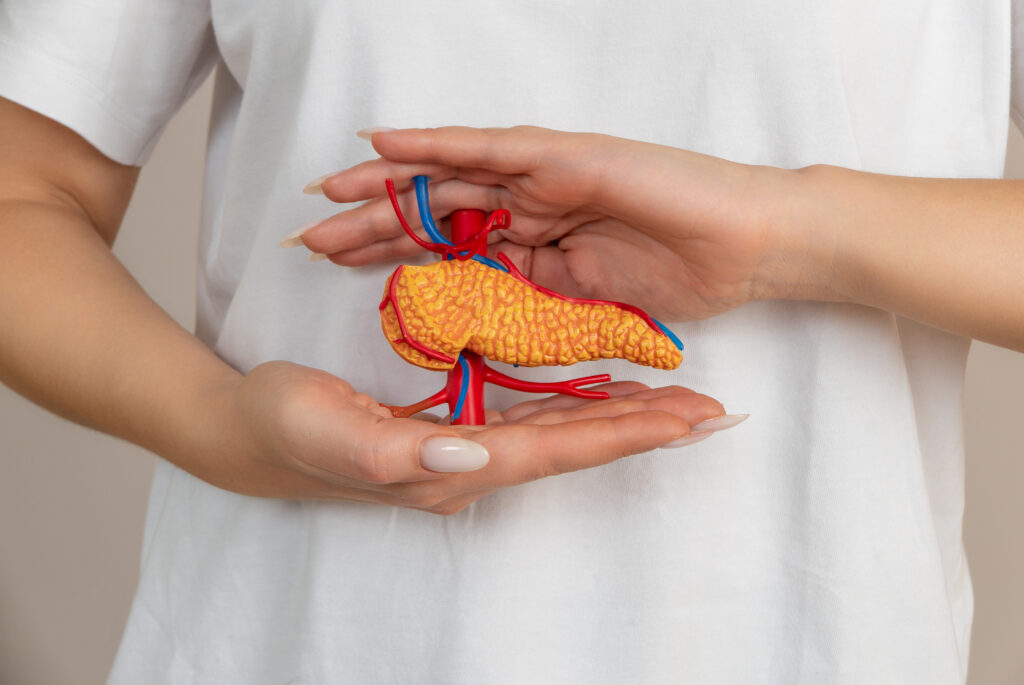 woman holding pancreas hands help care concept LIV Hospital