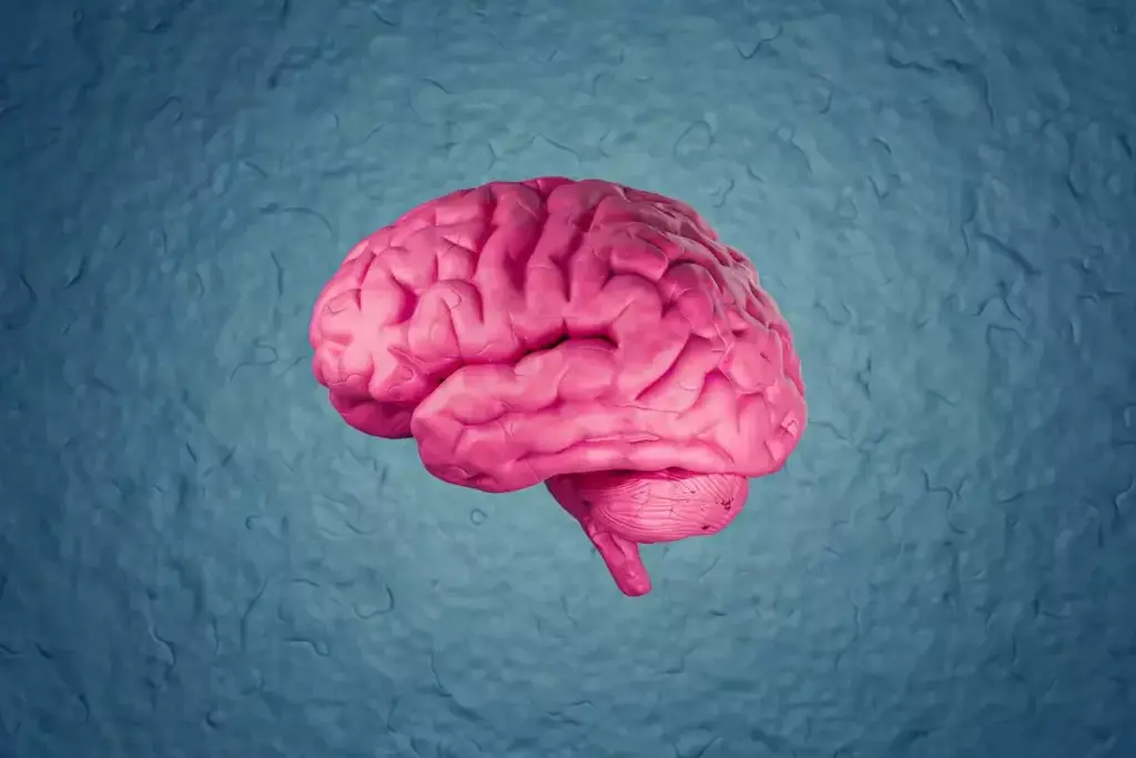 When Do ADHD Brains Fully Develop? Understanding Brain Maturation 3 When Do ADHD Brains Fully Develop? Understanding Brain Maturation
