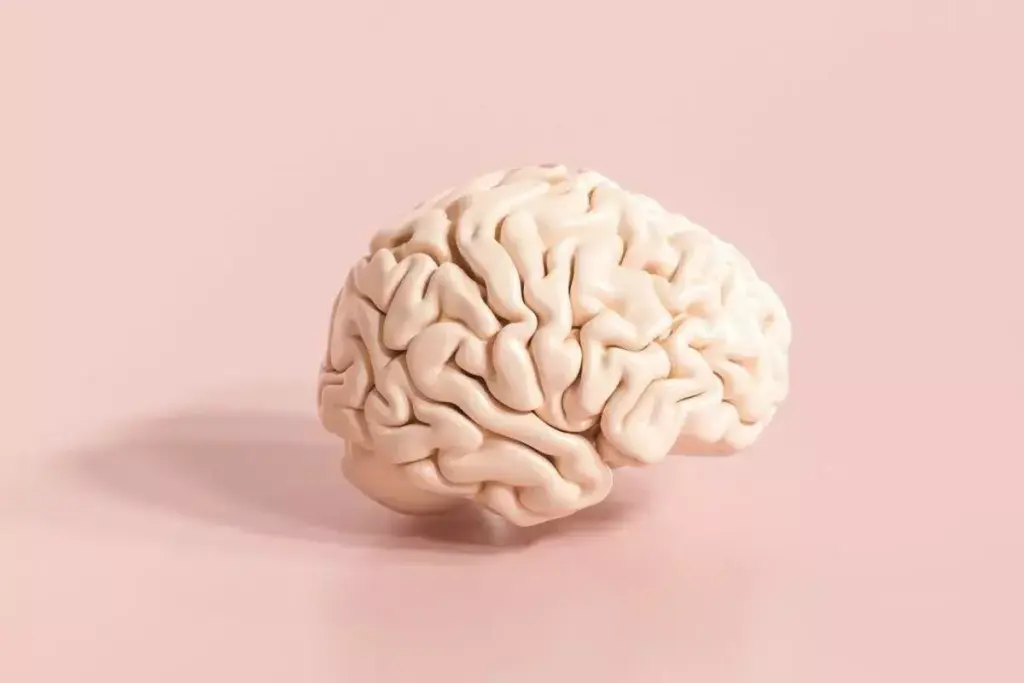 How Does ADHD Affect the Brain: Neurotransmitters and Brain Structure Explained? 2 How Does ADHD Affect the Brain: Neurotransmitters and Brain Structure Explained?