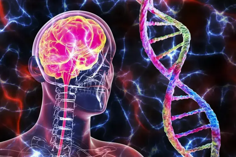 What Causes Obsessive Compulsive Disorder: Genetic or Environmental Factors?