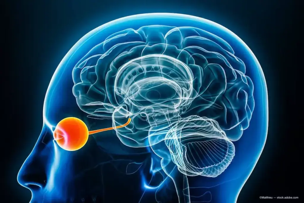 What is Limbic ADHD and How Does It Affect Your Attention?