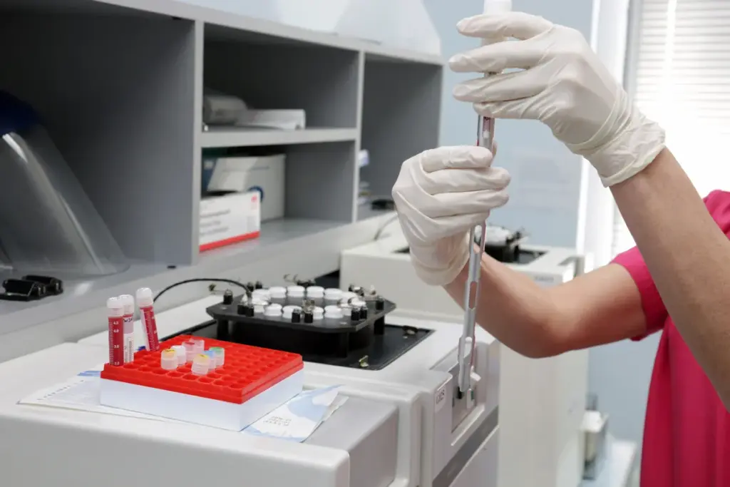 Bone Marrow: Essential Differences