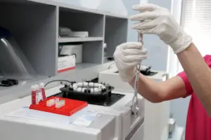 Bone Marrow: Essential Differences