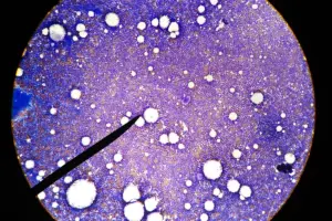 Hematopoietic Organs: Essential List